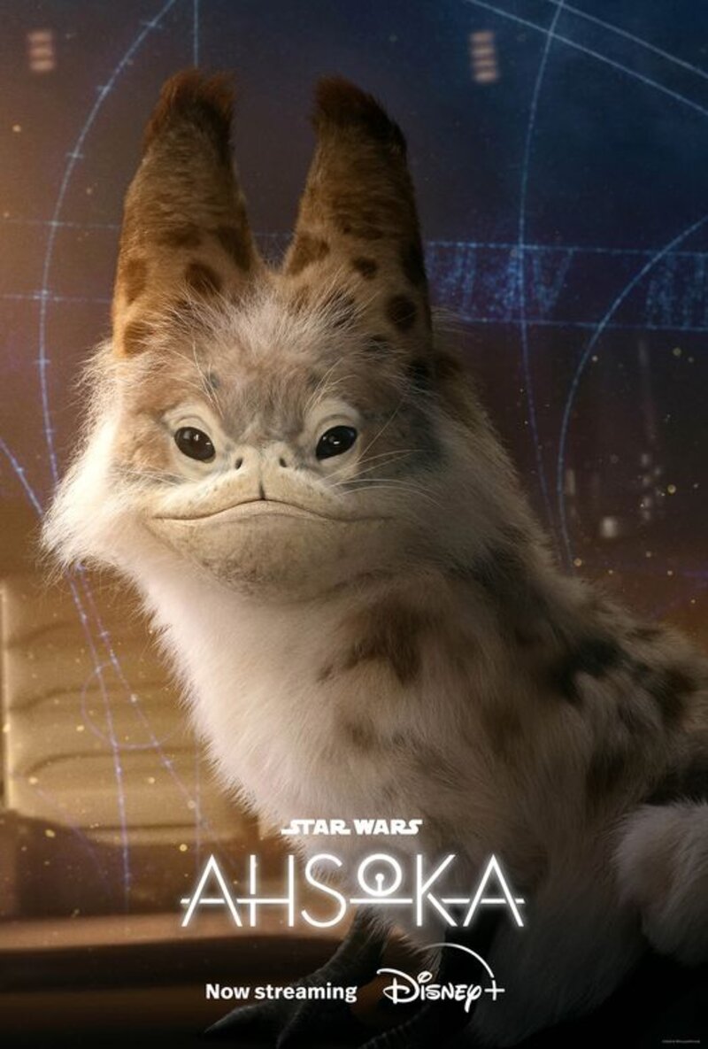 Disney Star Wars Ahsoka Loth Cat Character Poster Revealed 